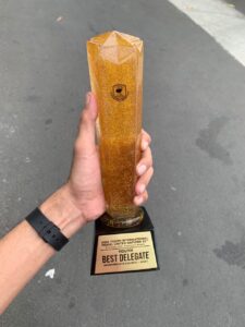 plakat resin